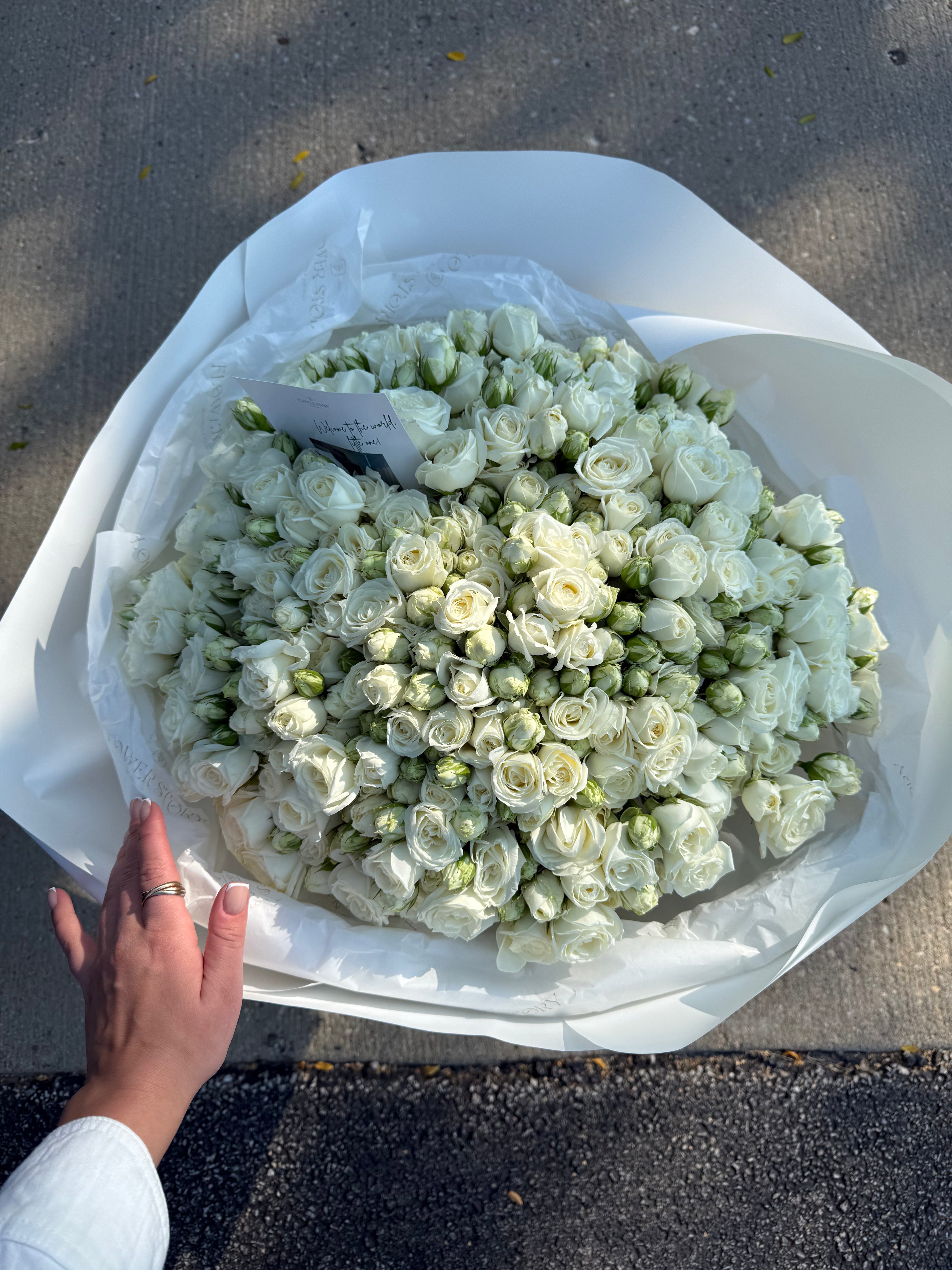Mono bouquet of 50 White Spray Roses