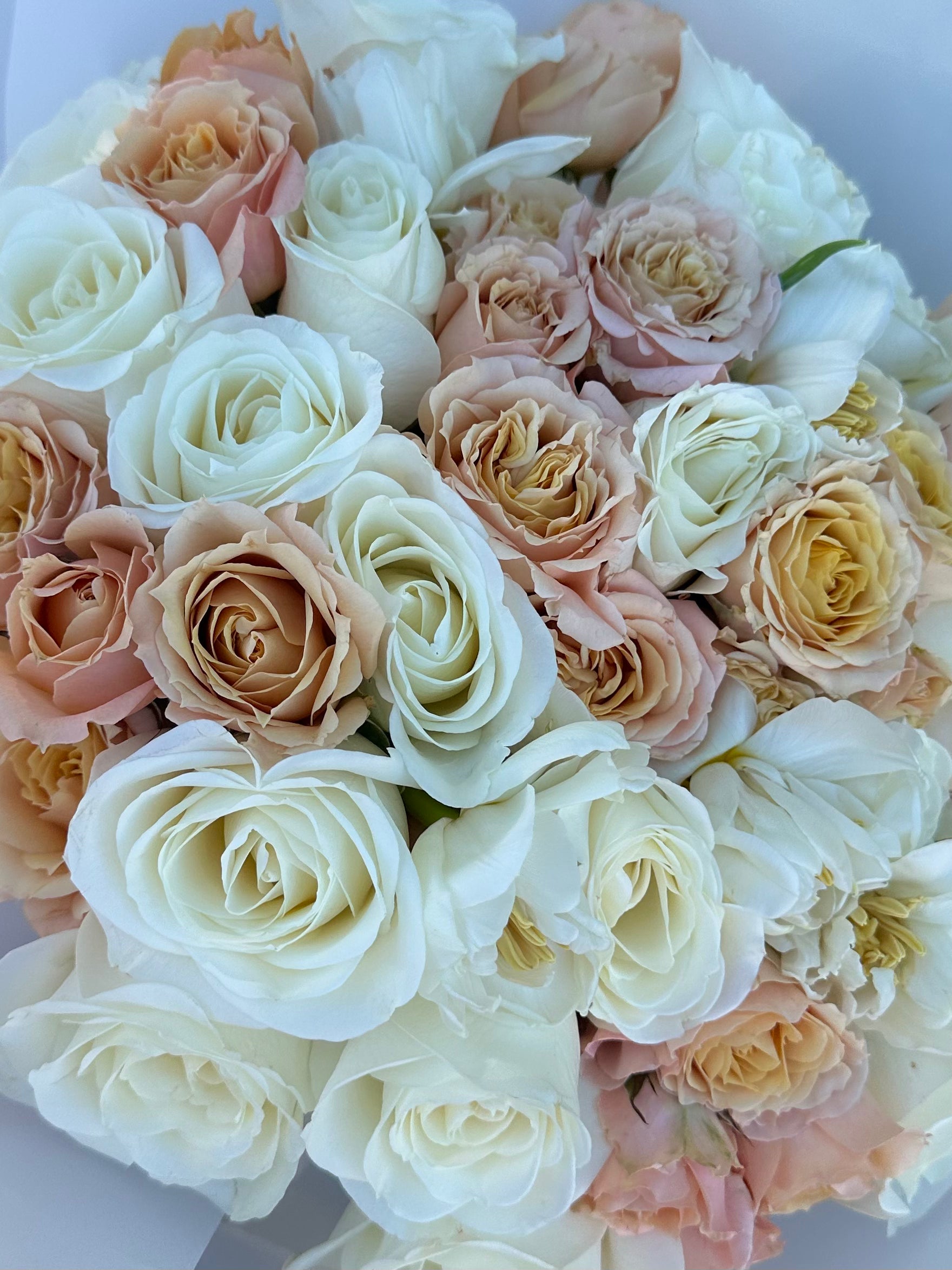 Mono bouquet of 35 Roses