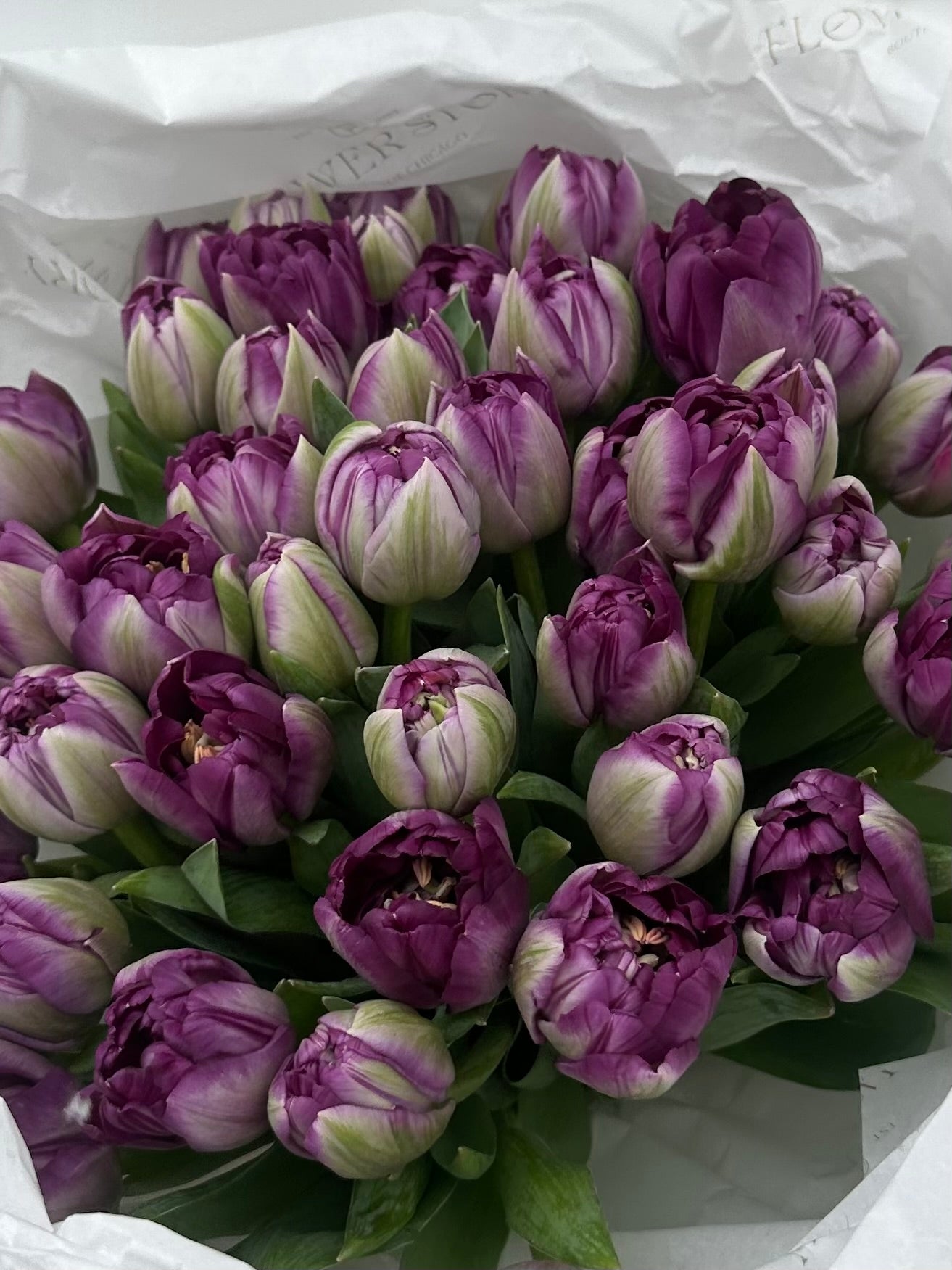 Mono bouquet of tulips