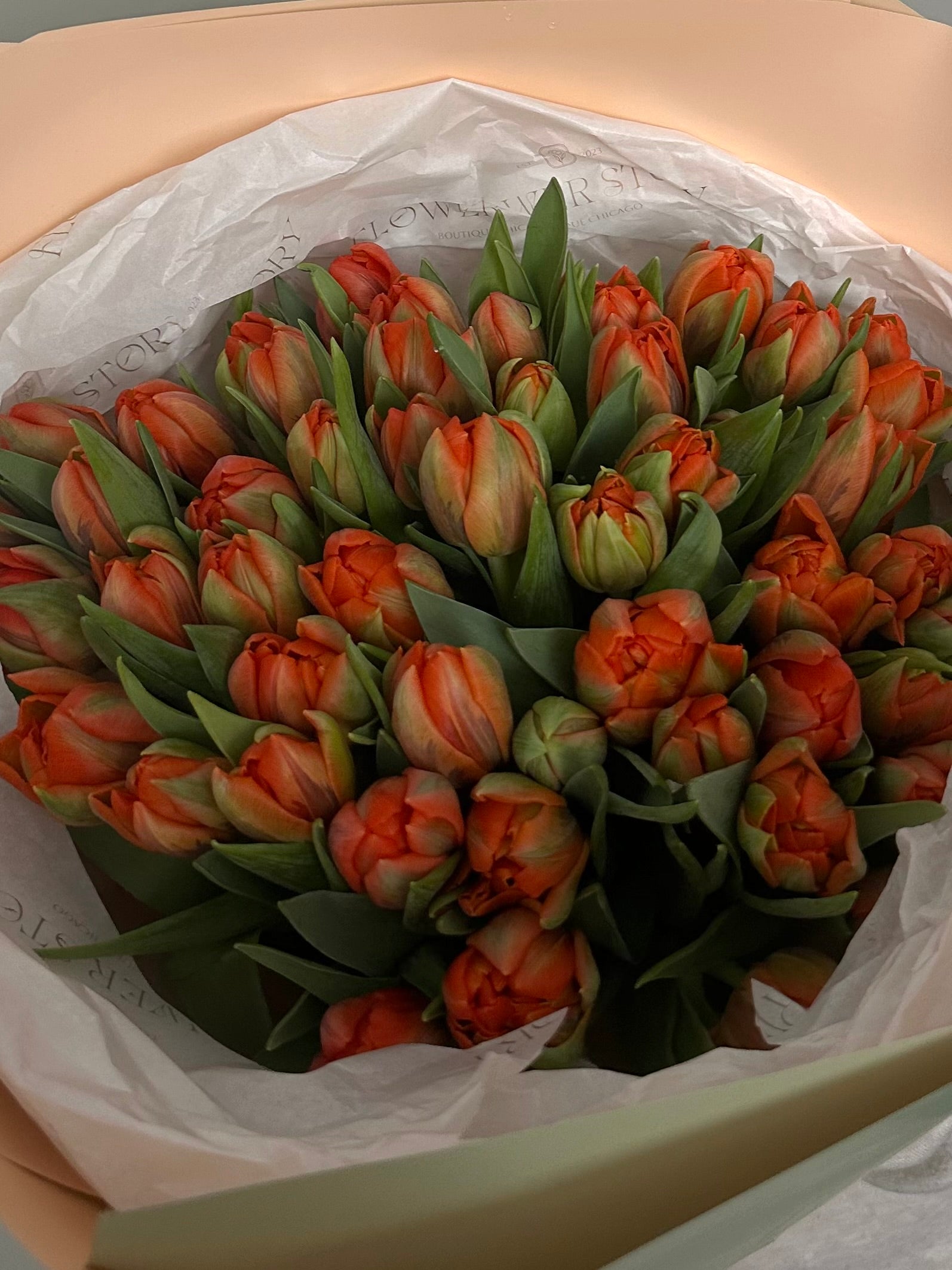 Mono bouquet of tulips