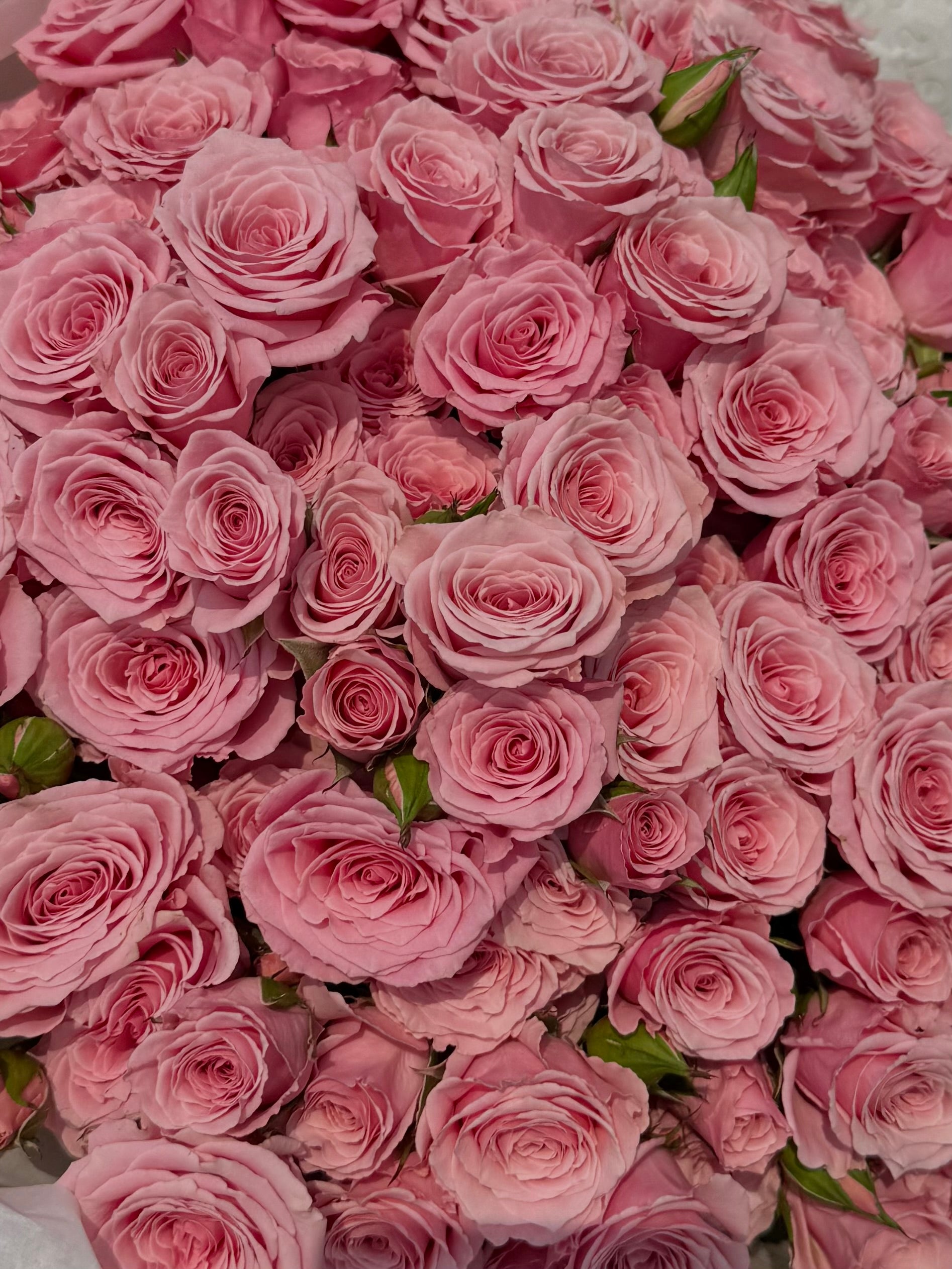 Mono bouquet of Spray Roses