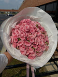 Mono bouquet of Spray Roses