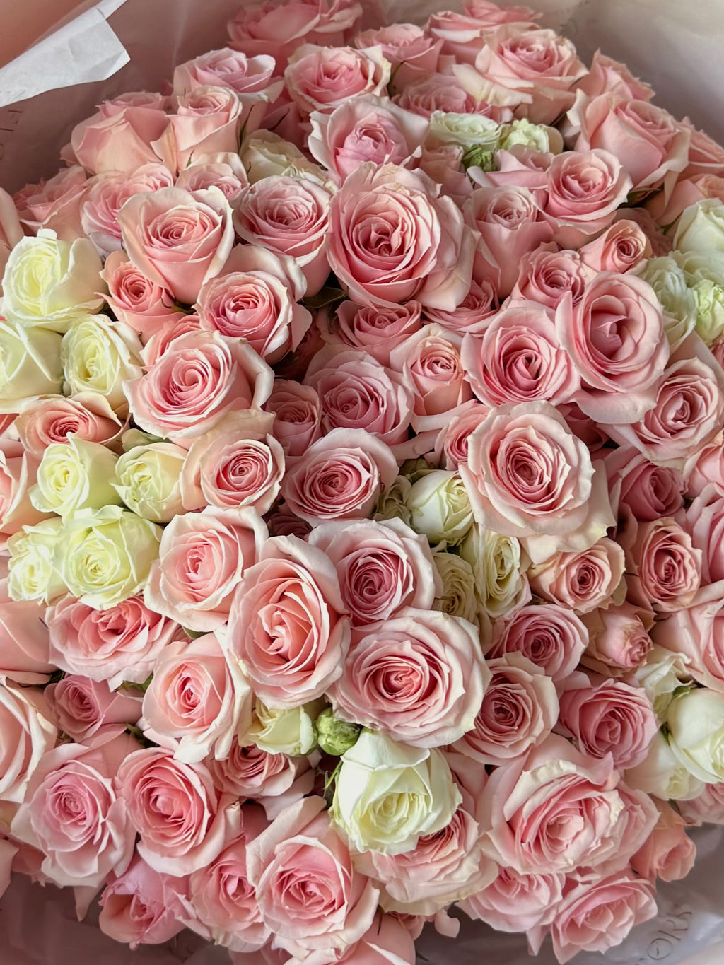 Mono bouquet with Spray Roses