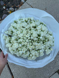 Mono bouquet with White Spray Roses
