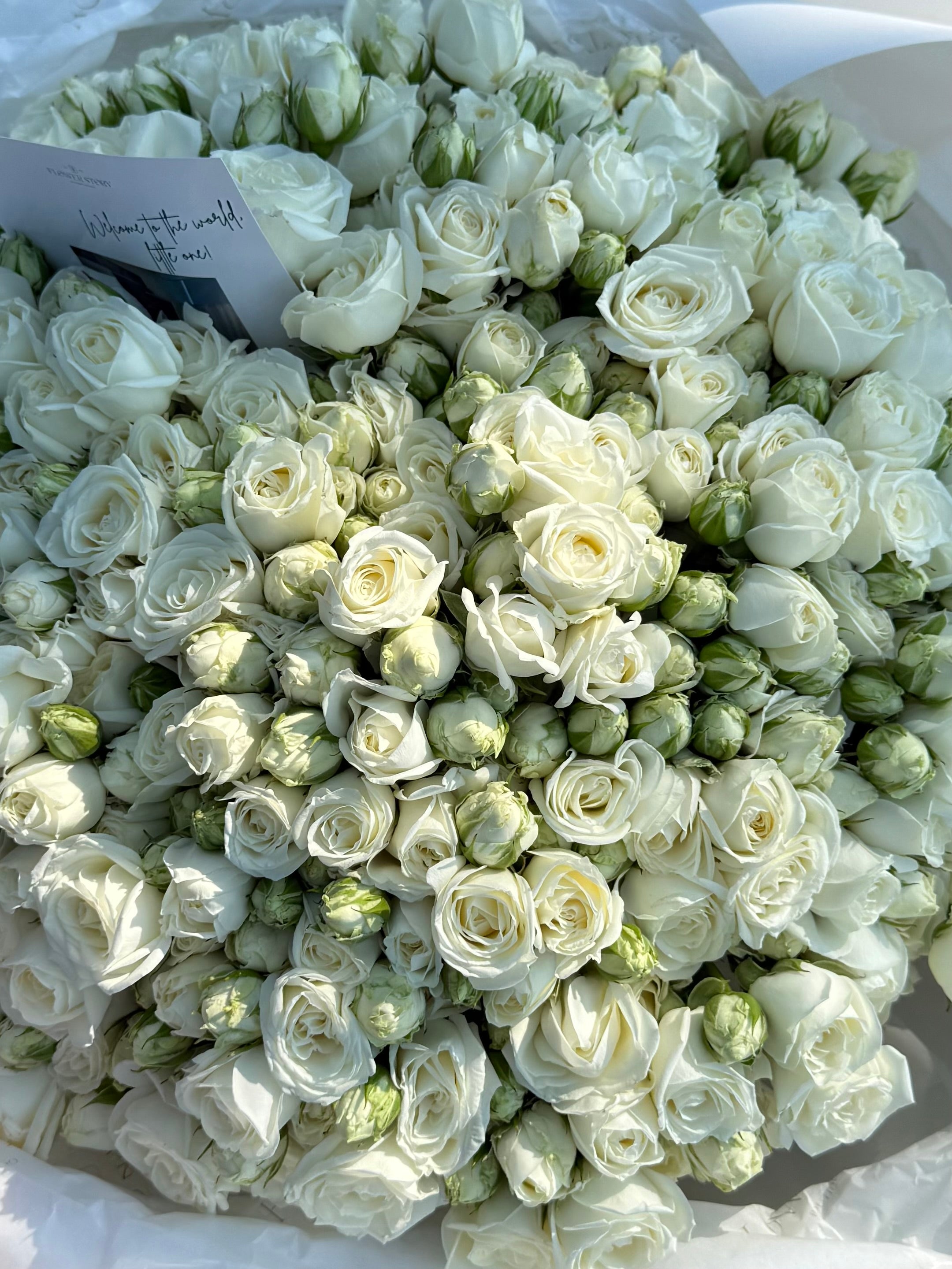 Mono bouquet with White Spray Roses