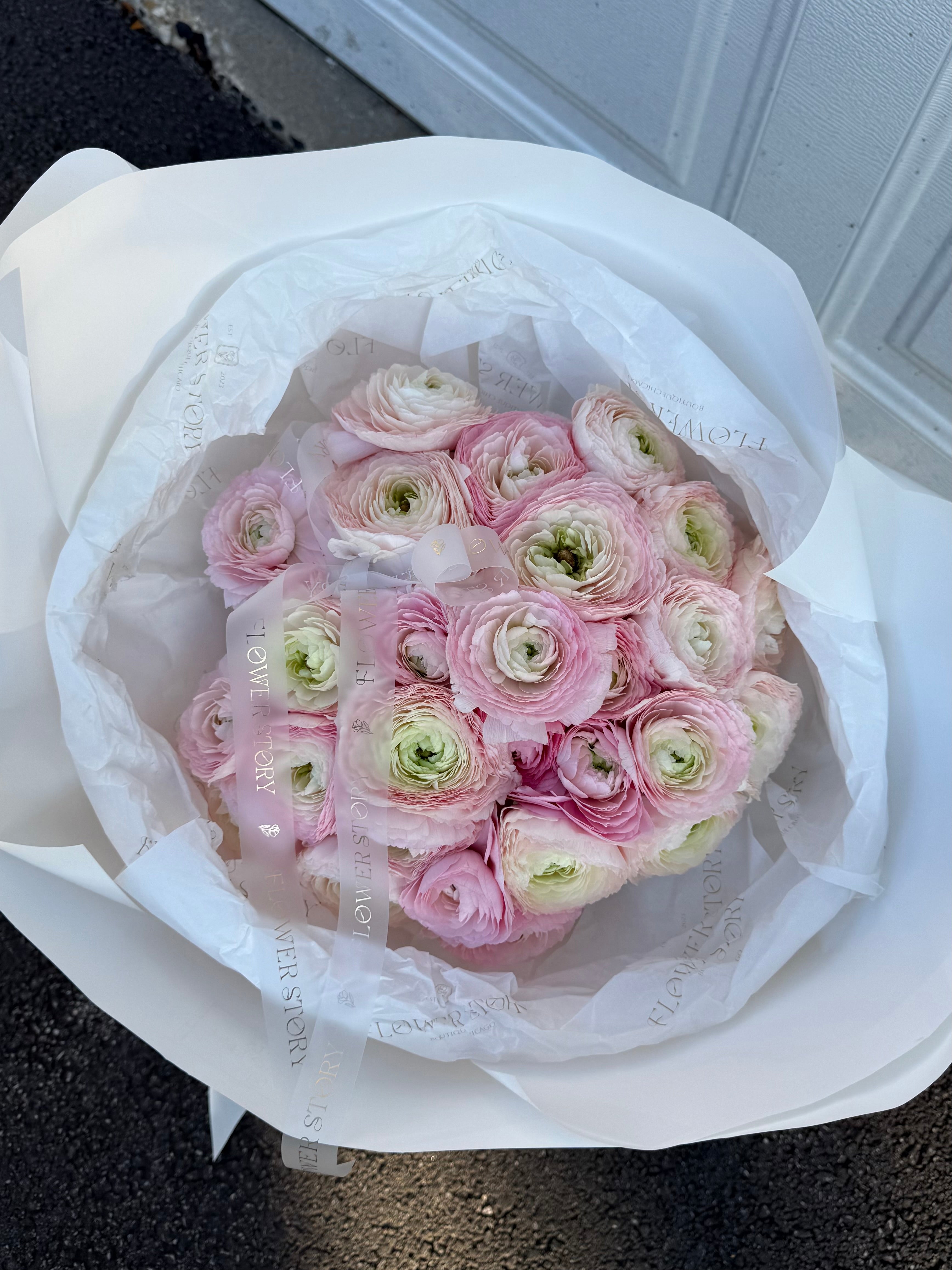 Mono bouquet of 25 pink ranunculus