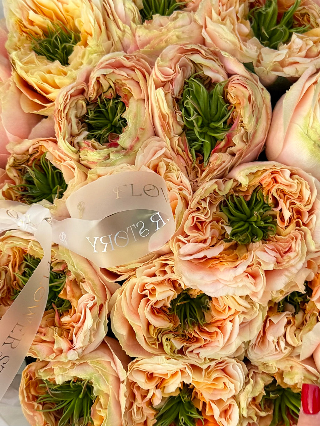 Mono bouquet of 25 Melon Xpressions roses