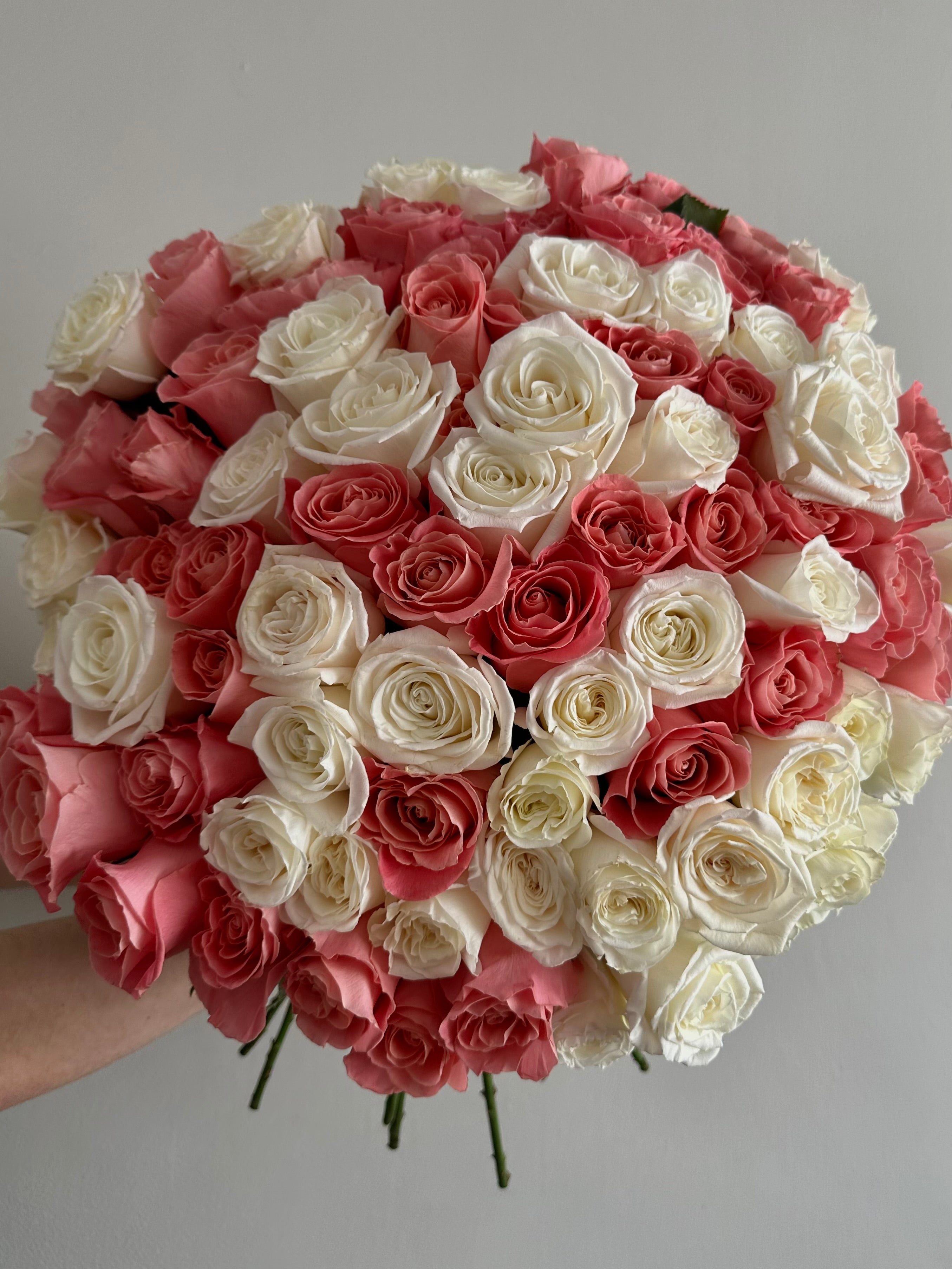 Mono bouquet of 100 pink & white roses