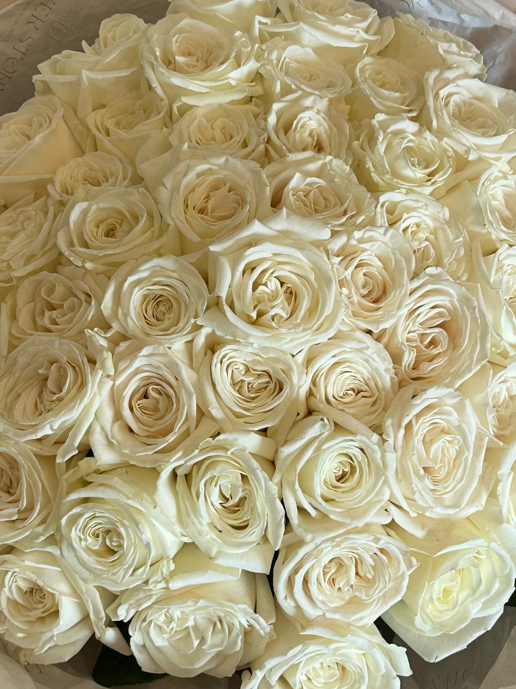 Mono bouquet of 50 white roses