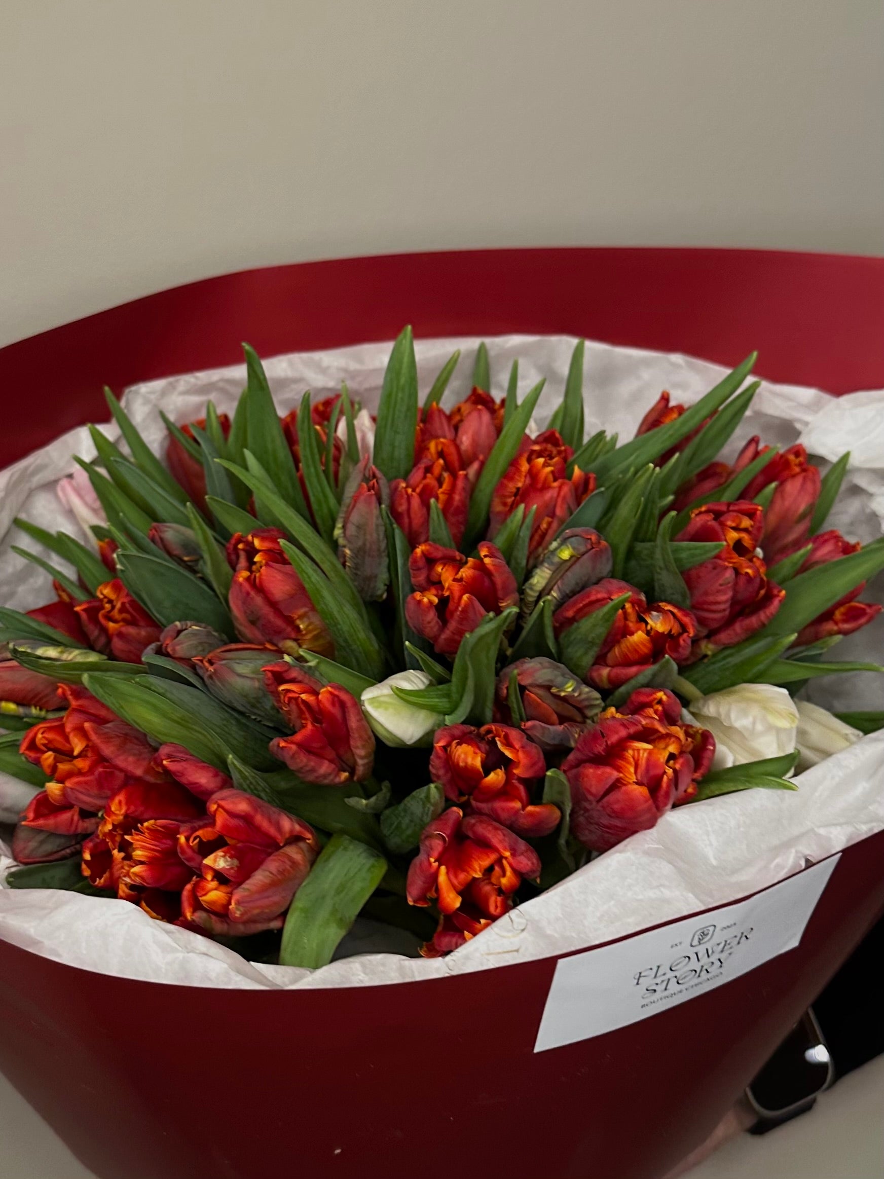 Mono bouquet of red tulips
