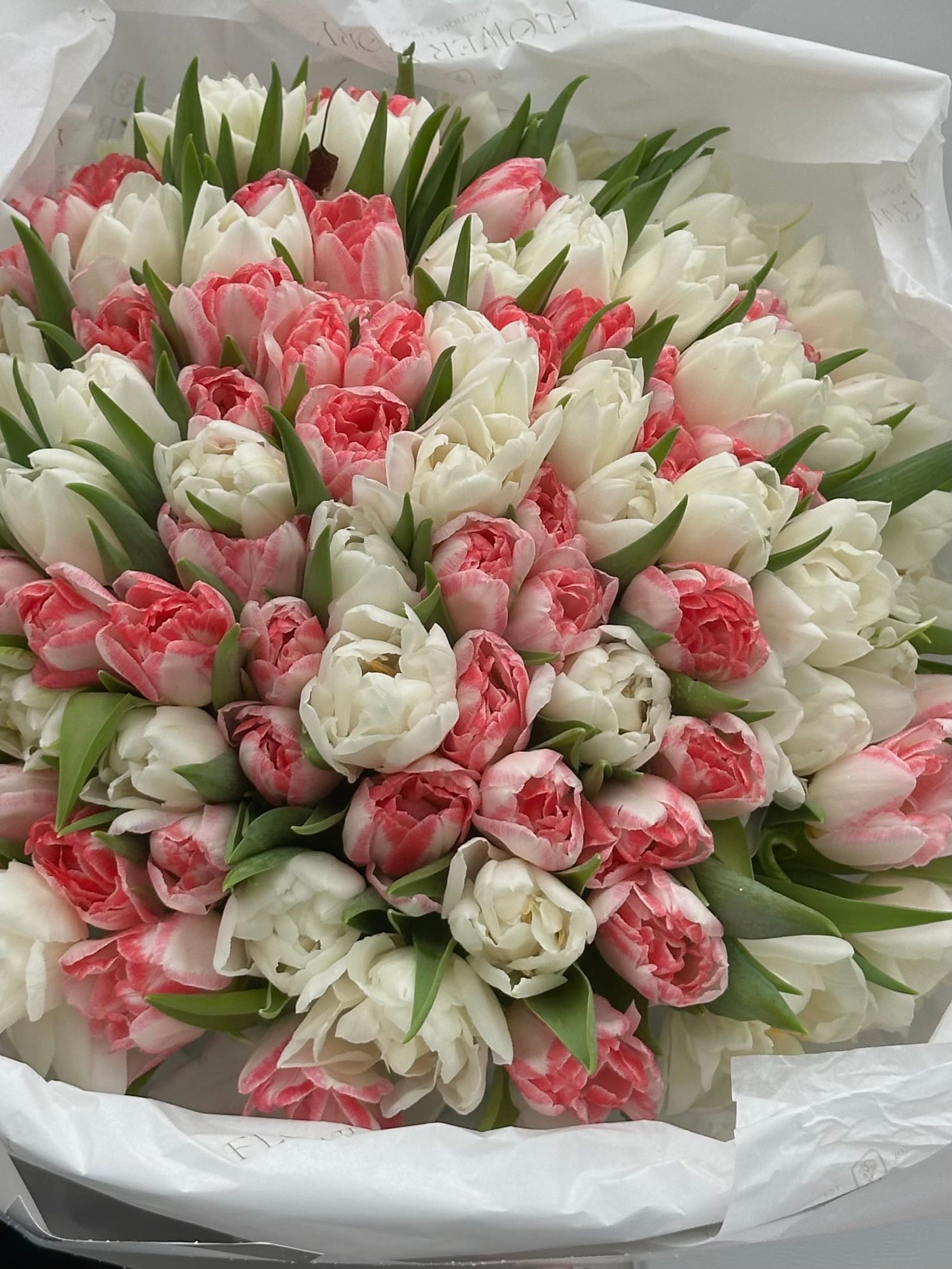 Delicate bouquet of white & pink tulips