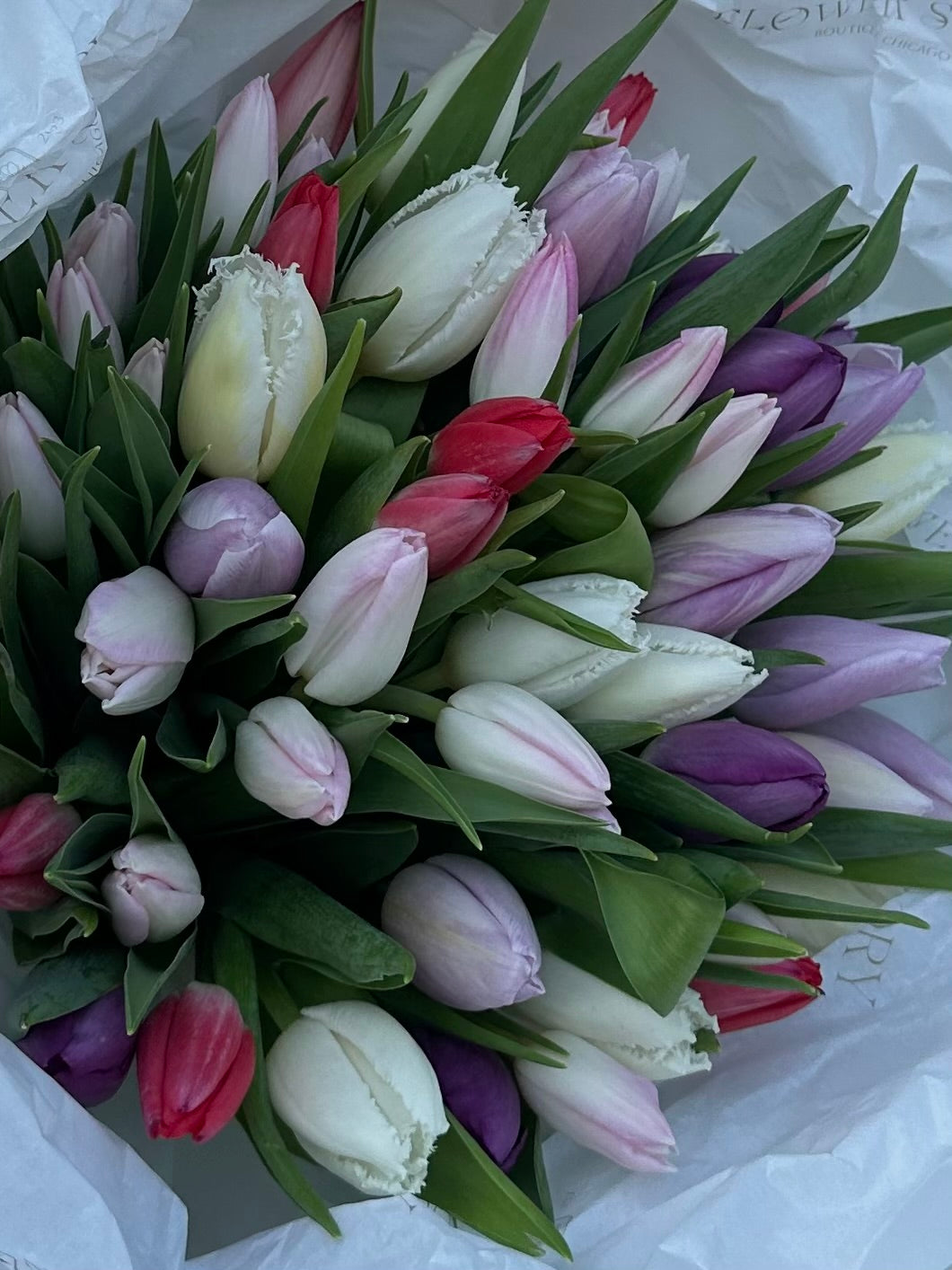 Mono bouquet of colorful tulips