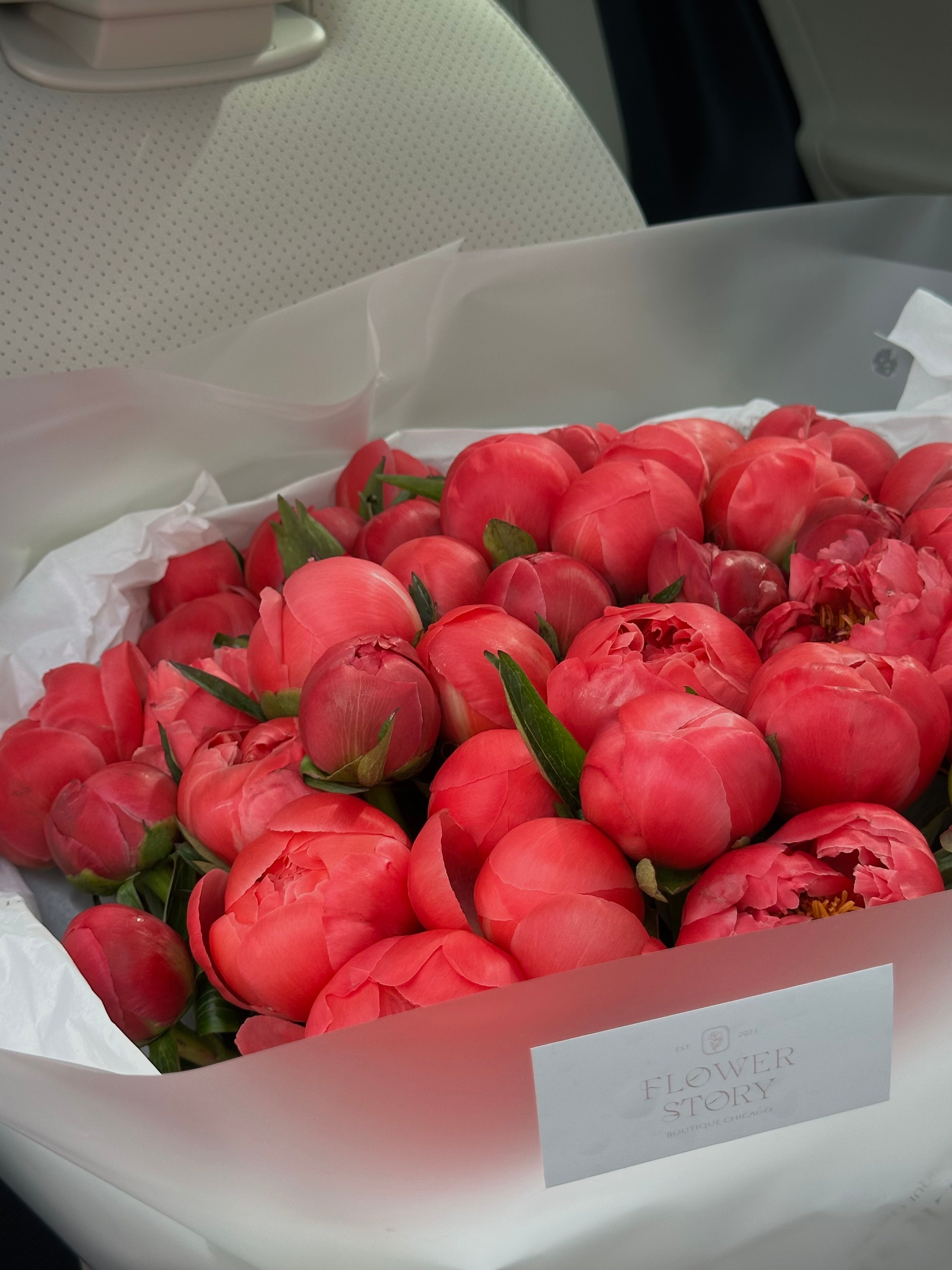 Mono bouquet of Coral Charm peonies 50 steams