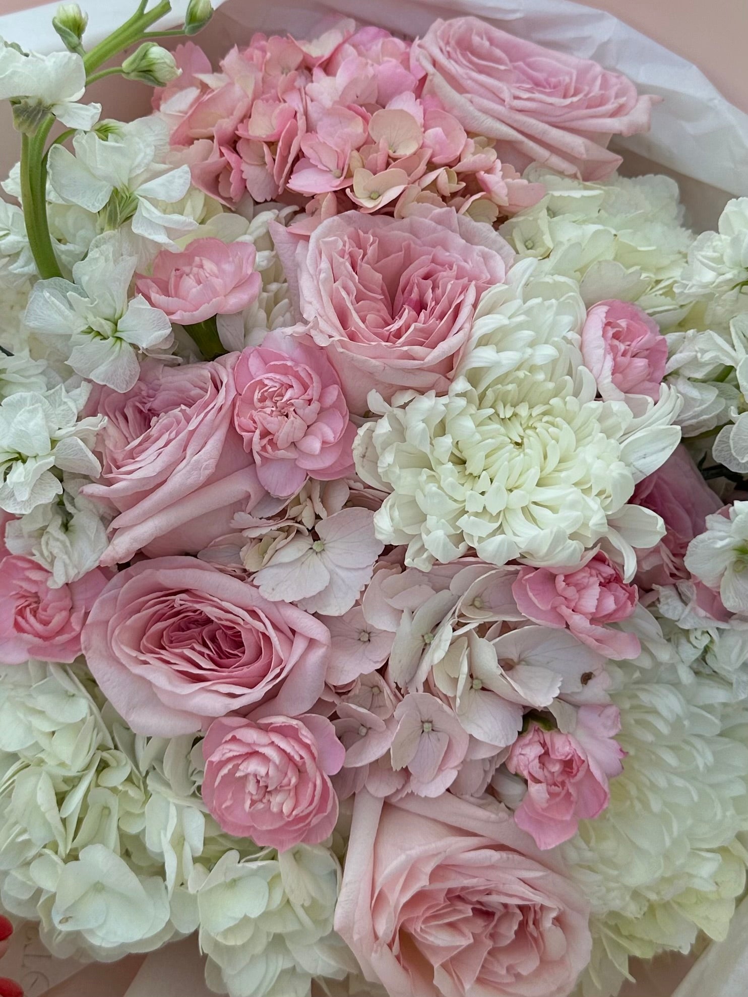 Mix bouquet with Pink O’Hara roses, hydrangeas & stocks