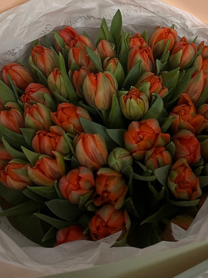Mono bouquet of orange tulips