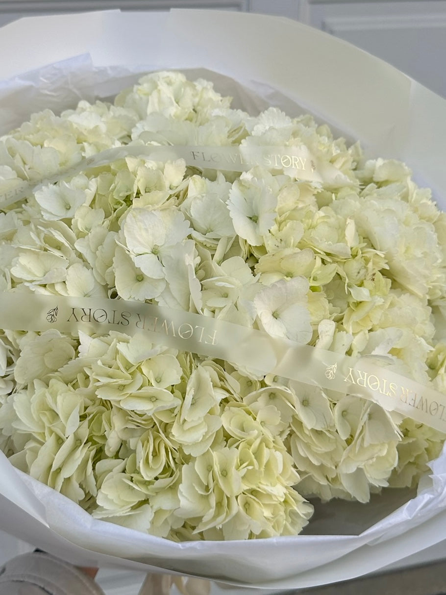 Mono bouquet of white hydrangeas